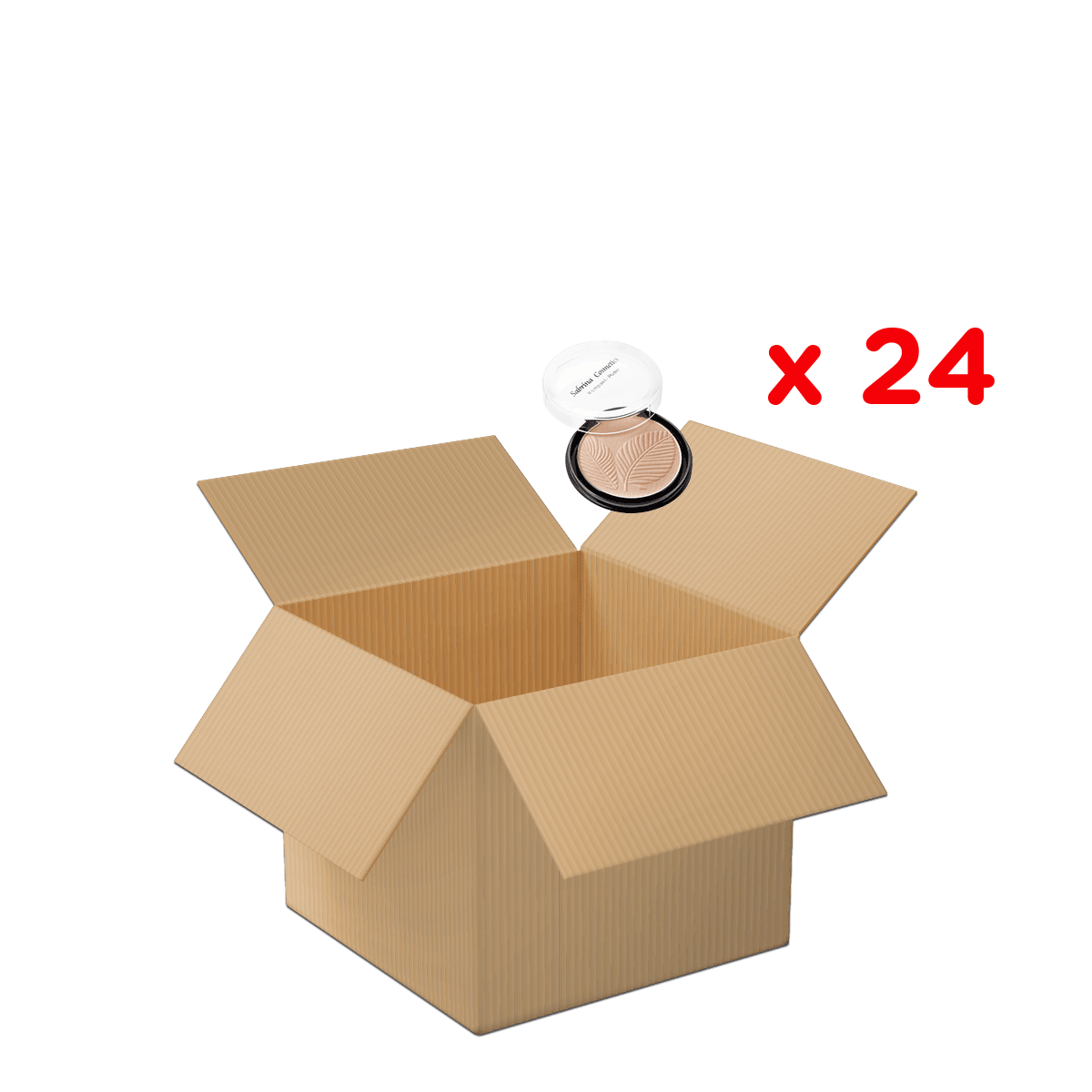 Verpackung, Kartonbox, Offene Schachtel, Kosmetik-Kompaktpuder, Menge 24, Kartonbox, braune Box, ungeöffnete Box, Versandbox, Verpackungsbox, Bräuner, Kompaktpuder, Verpackung, Wellpappbox, Set x24