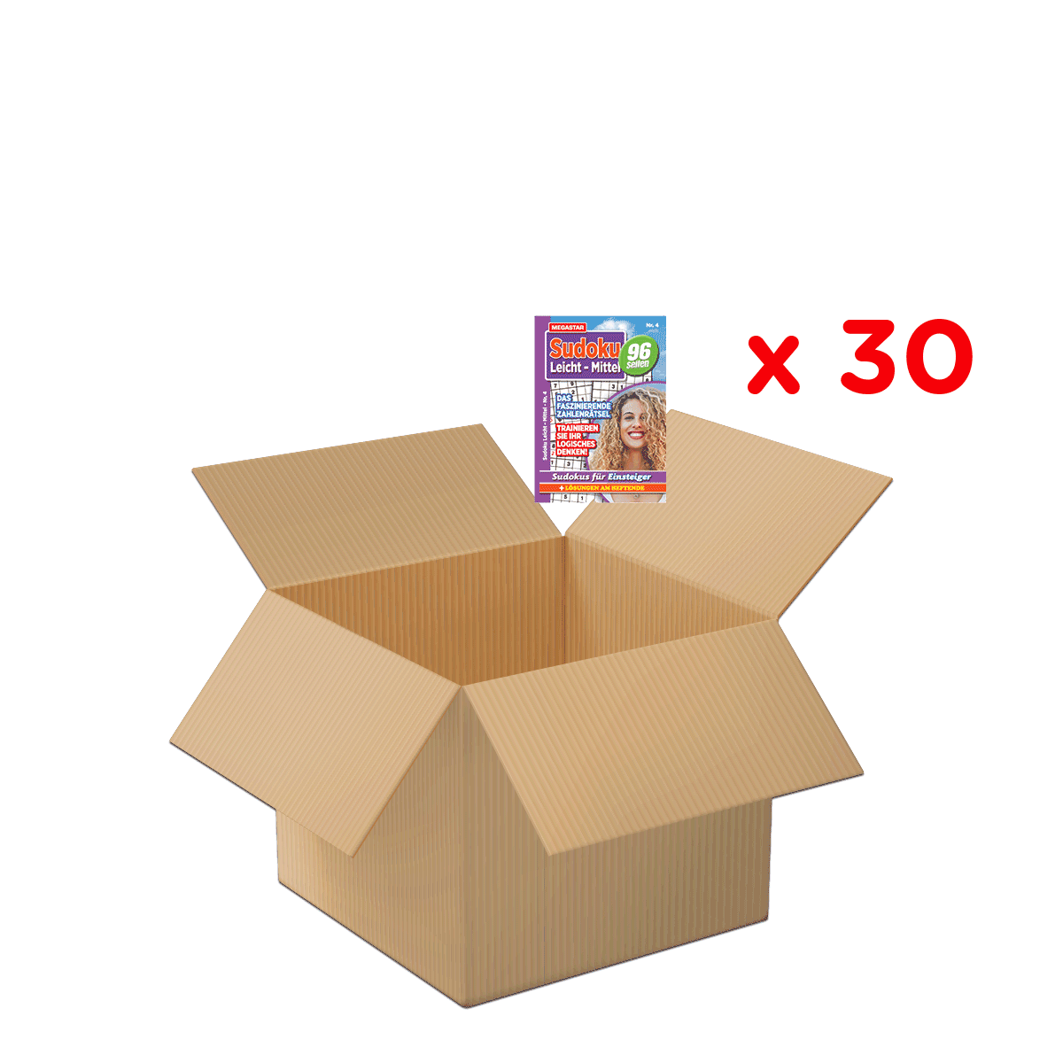 Kartonbox, offene Box, Auspacken, Verpackung, Inhalt der Box, Kartonbox, offene Box, Puzzle-Heft?, Sack?, Schachtel, kartonbox, box, Pappe, Ungeöffnet, Verpackung
