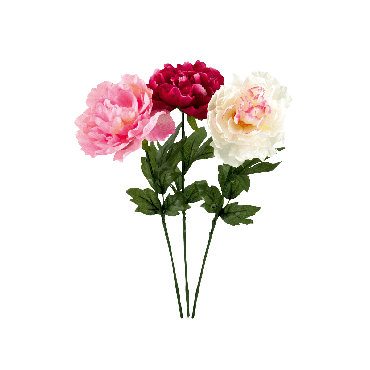 Blumen, Pfingstrose, Stielrosen, Mehrfarbig, Blütenstrauß, Blumen, Pfingstrose, Stielblumen, Blütenbund, Mehrfarbig, Blumen, Pfingstrose, Staude, Blütenstrauß, Farbmix
