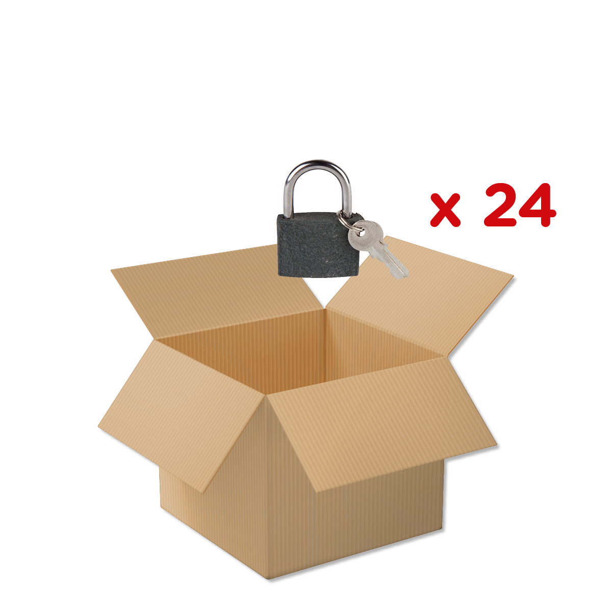 Kartonbox, Kartonage, Schloss, Schlüssel, Verpackung, Kartonbox, Offenes Karton, Schloss, Schloss mit Schlüssel, x 24, Schloss, Schloss mit Schlüssel, Kartonbox, Versandkarton, Sicherheitsverschluss