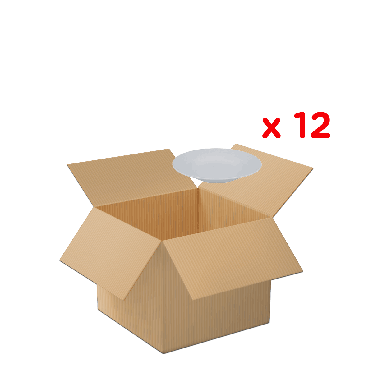 Box, Kartonbox, unangebrochen, Verpackung, Tabe lplatte, Kartonschachtel, offene Box, Pappe, Paketumschlag, Schachtel x12, Kartonbox, Umzugskarton, Pappkarton, Lagerbox, Leichtgewicht