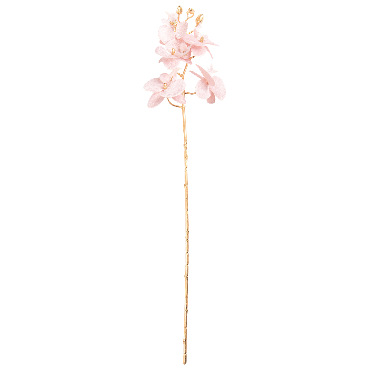 orchid, pink orchid, künstlicher stängel, blüte, pink blossom, orchid, pink, Blütenstängel, künstlich, Stängel, orchidee, pinkfarbene Orchidee, künstlicher Stiel, Blütenstiel, Orchideenzweig