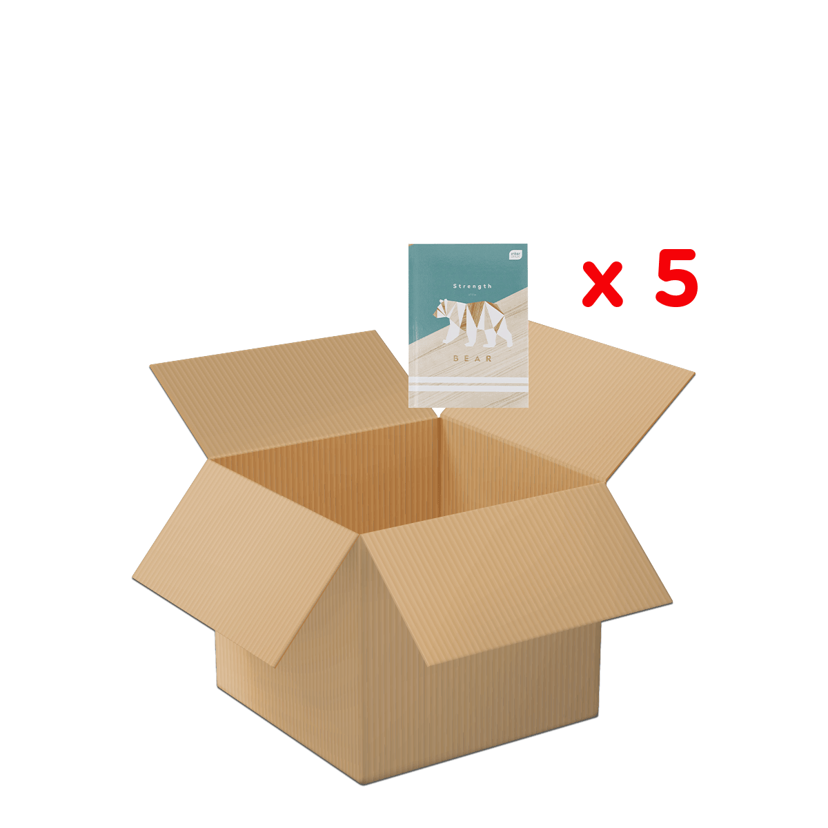 Kartonbox,  Versandbox,  Wellpappe,  offenes Paket,  5er-Pack, Kartonbox, offener Karton, Versandkarton, Wellpappe, Verpackung, Box, Karte, Bär, Verpackung, Kartenspiel?