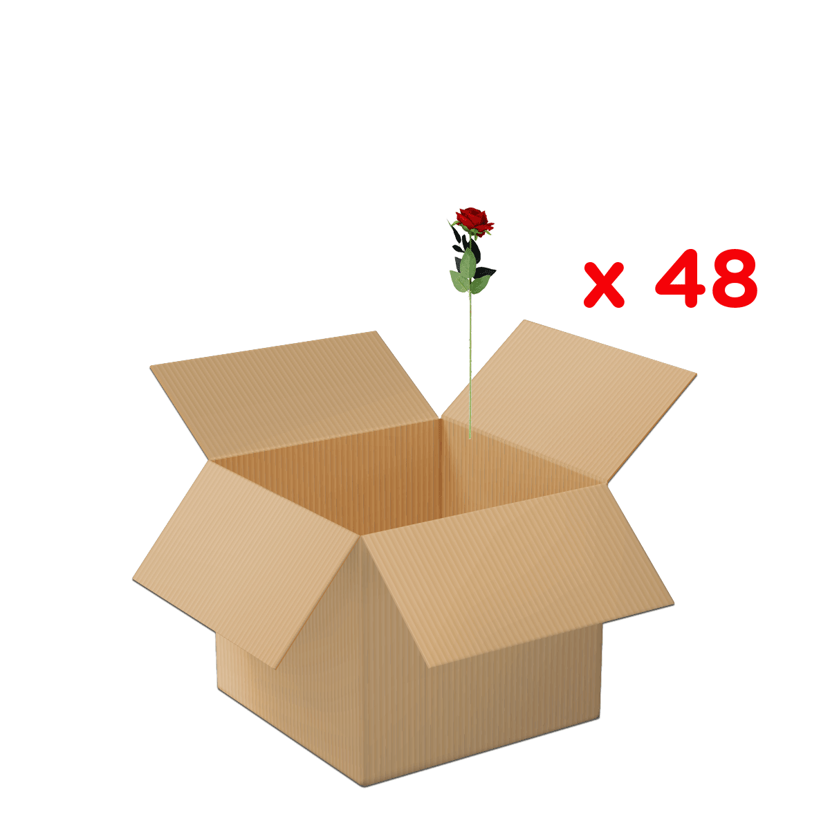 kartonbox, offenes karton, rote rose, blume, x48, Pappe, Verpackungskarton, offene Box,  Rose, Geschenkset, kartonbox, offener karton, rose, blume, x48