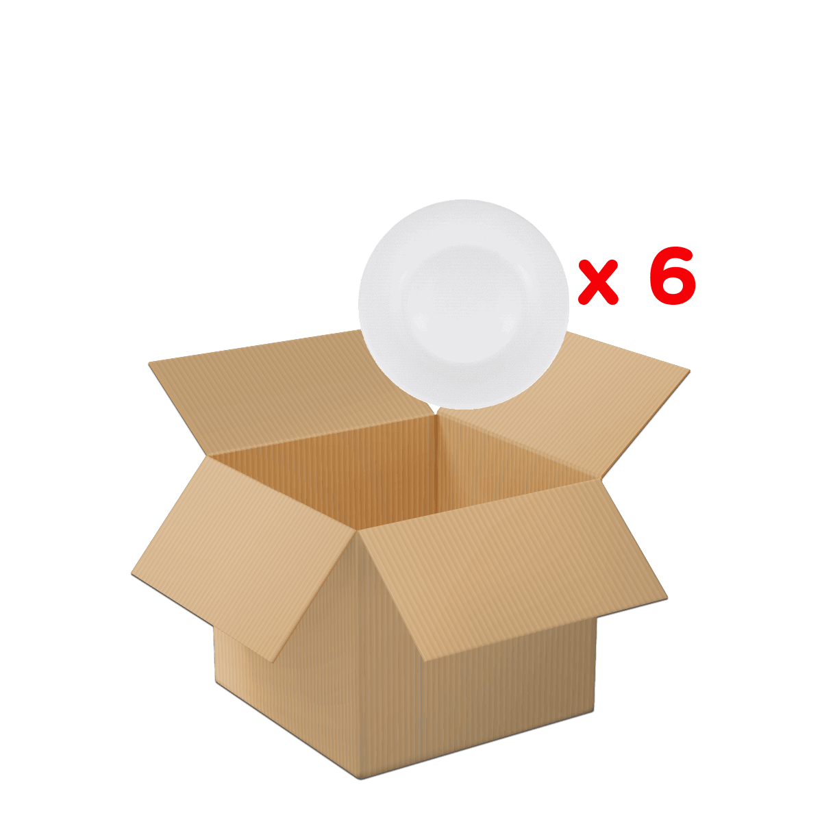 Kartonbox, Einwegschale, Paketinhalt, Weißes Geschirr, 6 Stück, kartonbox, open-box, platten, pappe, verpackung, Paketbox, Kartonbox, Einwegbecher, Becher, Kartonverpackung