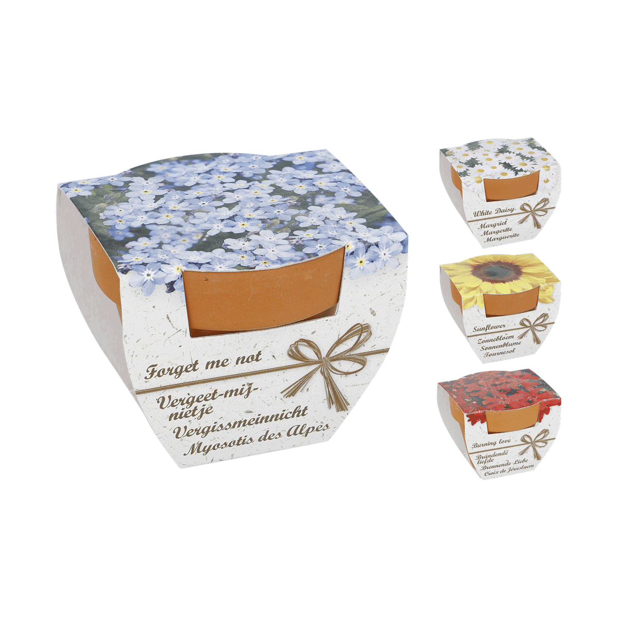 blumenbox, holzbox, blaue blumen, gänseblümchenmuster, geschenkbox, Blumenbox, Blumenkasten, Kartenbox, blaue Blumen, Geschenkbox, blume, box, geschenk, plastik, muster