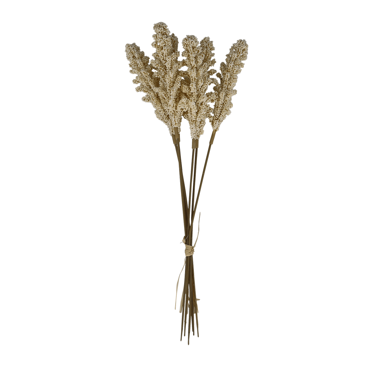 Getrocknete Blumen, Stängel, Beige, Bundle, Pflanzen-Dekoration,  getrocknete Blumen,  Stiele,  Beige,  Strauß,  Dekoration, getrockneter Blumenstrauß, Lagurus, Pampasgras, Beige, Stielbundel