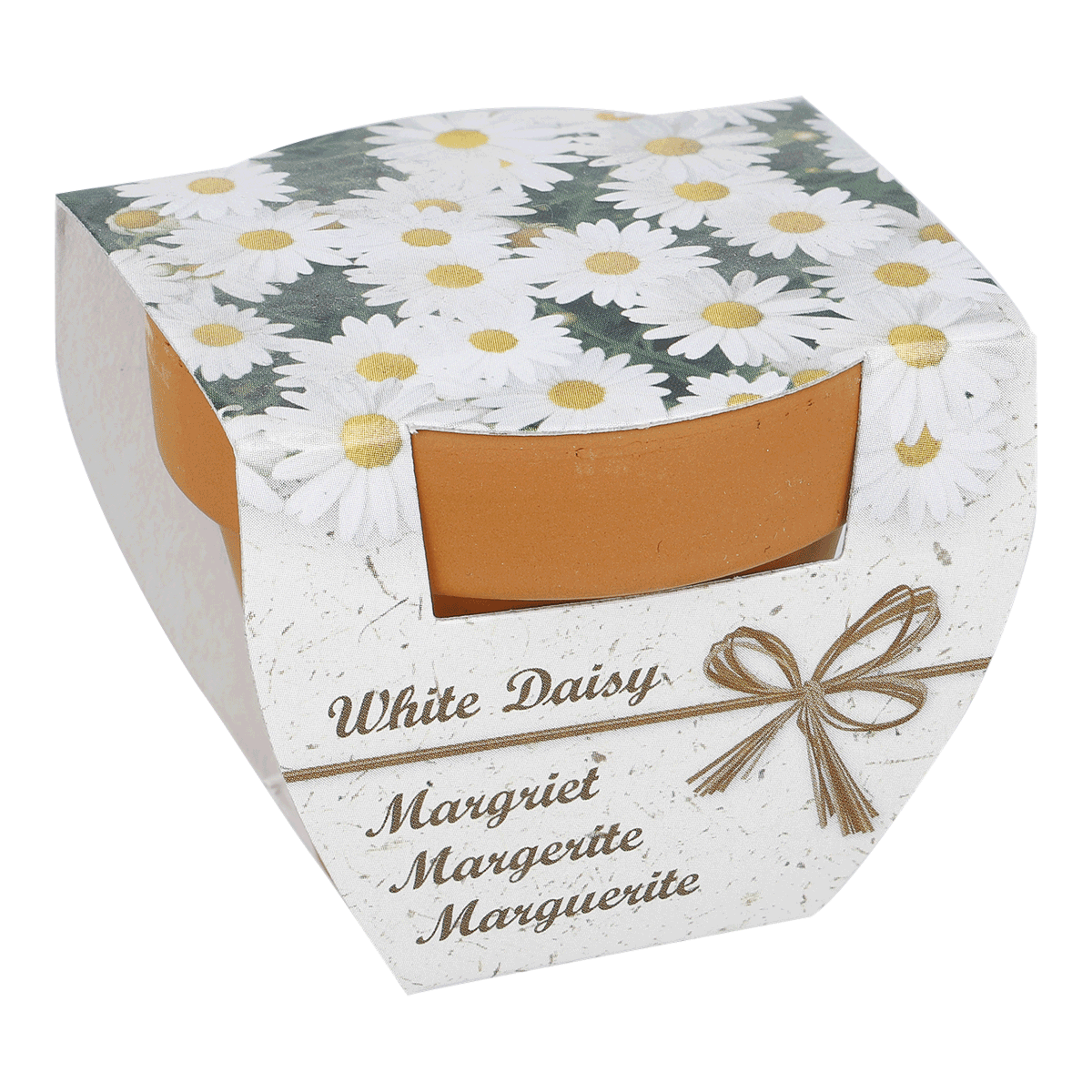 Blume, Gänseblümchen, Schachtel, Geschenk, Verpackung, Tischdekoration, Kleine Box, Margerite-Motiv, Blumenmuster, Pappebox, Blumen-Box, Daisy Box, Mini-Geschenkbox, White Daisy, Margerite Dekoration