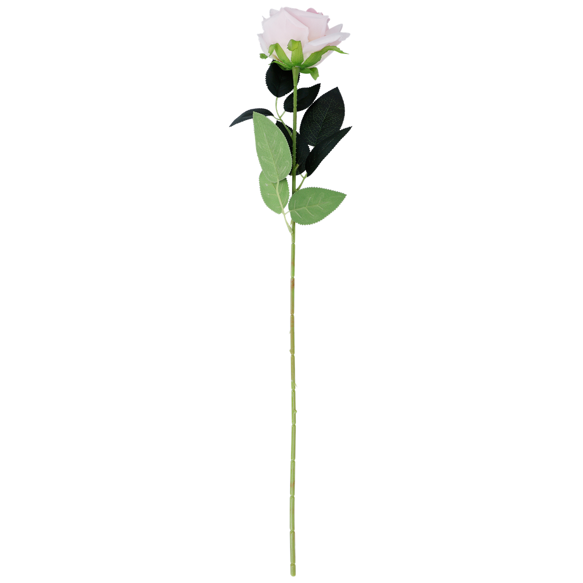 rose, stängel, rosa blüte, grüne blätter, blume, Rose, Langstielige Rose, Kunstblume, Rosa pink, Grüne Blätter, blume, rose, rosenstiel, grünes blatt, rosenblüte