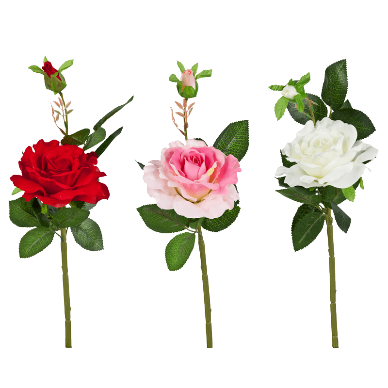Rose, Rote Rose, Rosa pink, Weiße Rose, Kunstblume, Rosen, Rose, Blumenstiel, Stielrose, Rose rot pink weiß, Rosen, Rose, Blumenstrauß, Stängel, Kopfblüte