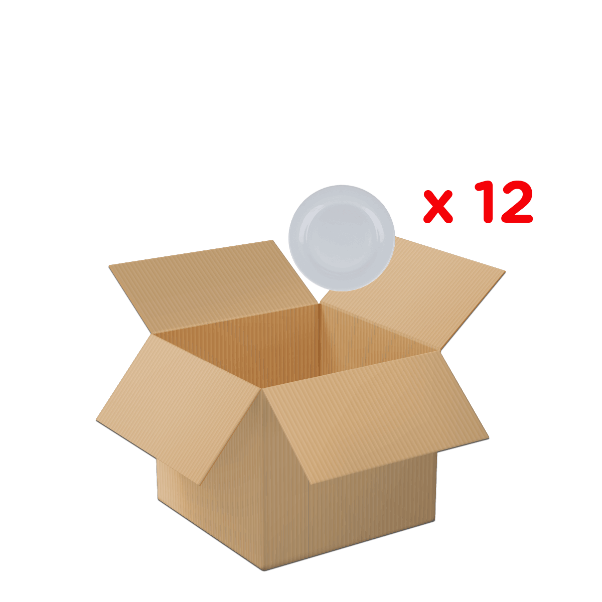 Kartonbox, Einwegschale, Plastikplatte, Takeaway-Verpackung, Multipack 12, Kartonschachtel, offene Schachtel, Einwegverpackung, Lagerverpackung, 12 Stück, kartonbox, kartonage, verpackung, leer, platten-ware