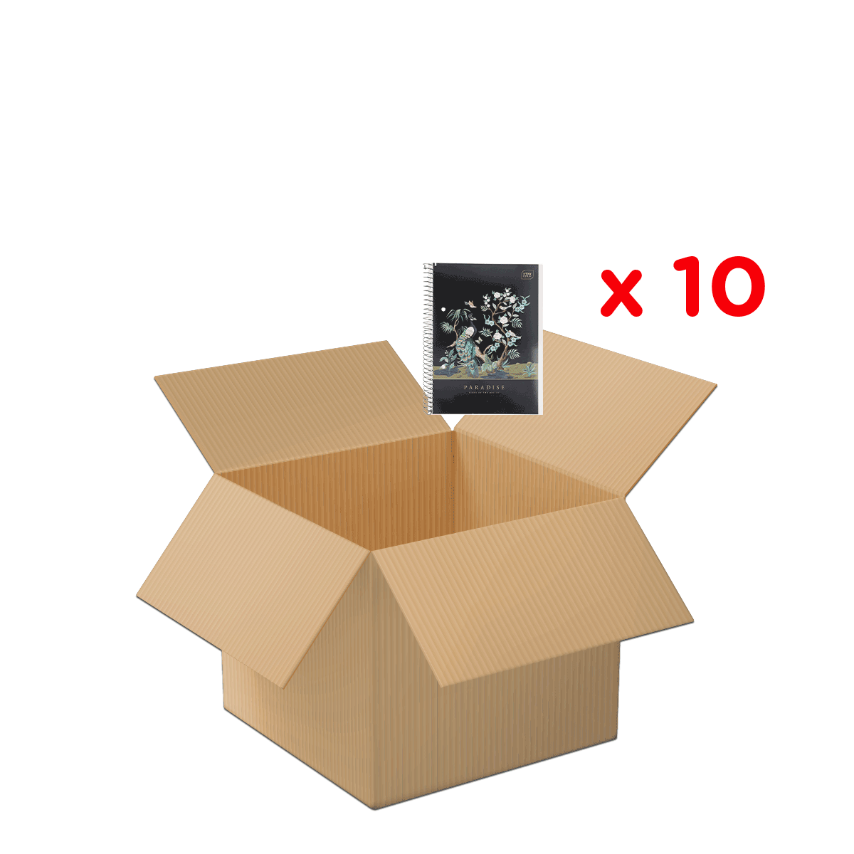 Schachtel, Karton, Paket, 20x20x20 cm, Notizbuch, Kartonbox, Offenes Karton, Notizbuch, Spiralblock, 10er Pack, Karton, Kiste, Verpackung, Notizbuch, Planer