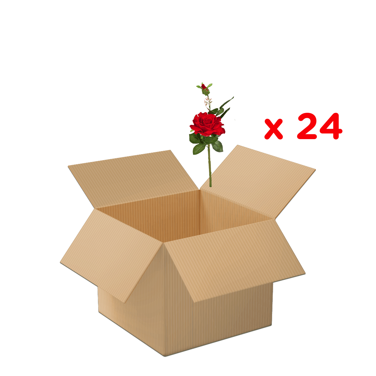 Kartonbox, offene Box, Rose, Blume, Geschenkidee,  Kartonbox,  Öffnung Box,  Rose,  Blume,  Geschenkverpackung, Kartonbox, offene Box, Rose, Rose im Box, Geschenkbox