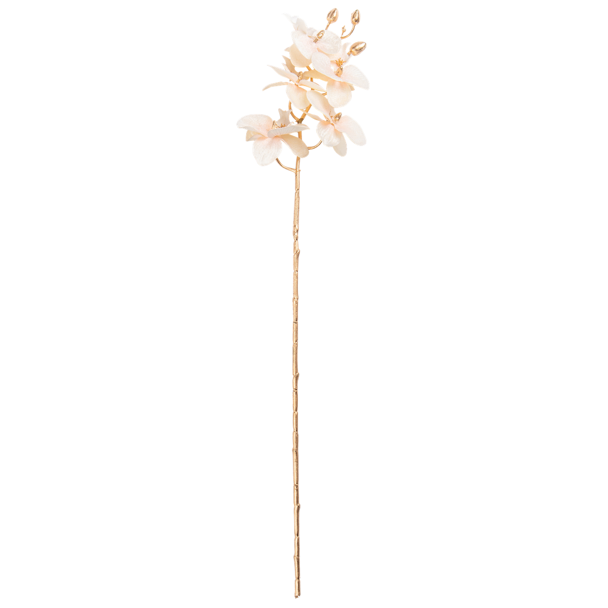 orchid, stamm, künstlich, beige, blume, Orchidenschnitz, Kunstorchidee, Blütenzweig, Dekor-Stängel, Blumenstiel, orchid, Stängel, künstliche Blume, beige, neutral