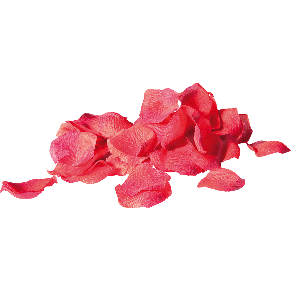 Blütenblätter, Rose, Rosenblätter, Rot, Puderrose, Rosenblätter, Blattreste, Pink, Petal, Blütenreste, rosen, rosenblätter, blütenblätter, pinke blätter, blüten cluster
