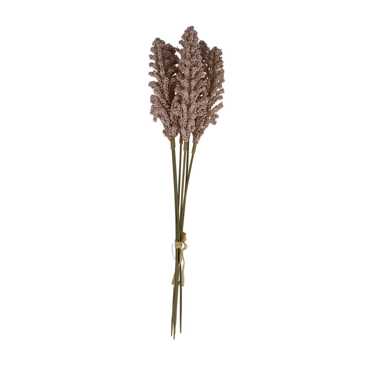 Getrocknete Blüten, Heller Rosa, Schilfgras, Blumenstrauß, Dekorative Pflanze, Pampasgras, Trockenblumen, Stängel, Blütenrispe, Braun, Pampasgras, Trockenblume, Blumenstrauß, Sorten Natur, Röhrenstiel