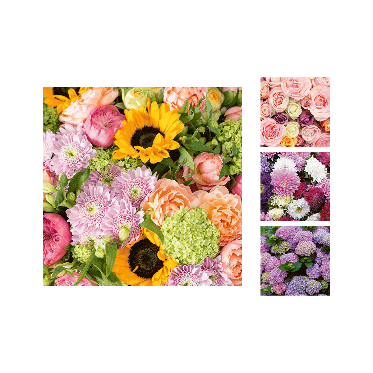 Blumen, Blumenstrauß, Mikro-Sortiment, Farbenmix, Sonnenblume, Blumenstrauß, Sonnenblume, Rosen, Pfingstrosen, Chrysanthemen, Blumenstrauß, Rosen, Sonnenblume, Pflanzenfärbung, Hortensie