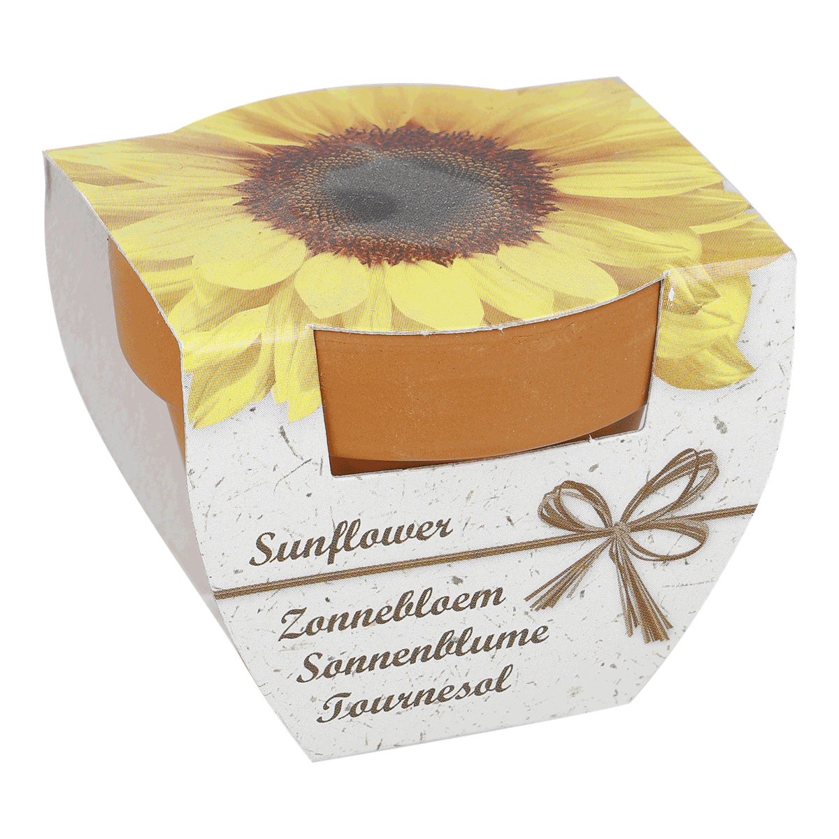 Sonnblume, Sonnenblume, Papierbox, Dekorbox, Blumenmotiv, Sonnenblume, Sonnenblumenöl, Verpackung, Pflanzenöl, Dekor, Sonnenblume, Blumenbox, Dekokiste, Sonnenblumenöl?, Geschenkbox