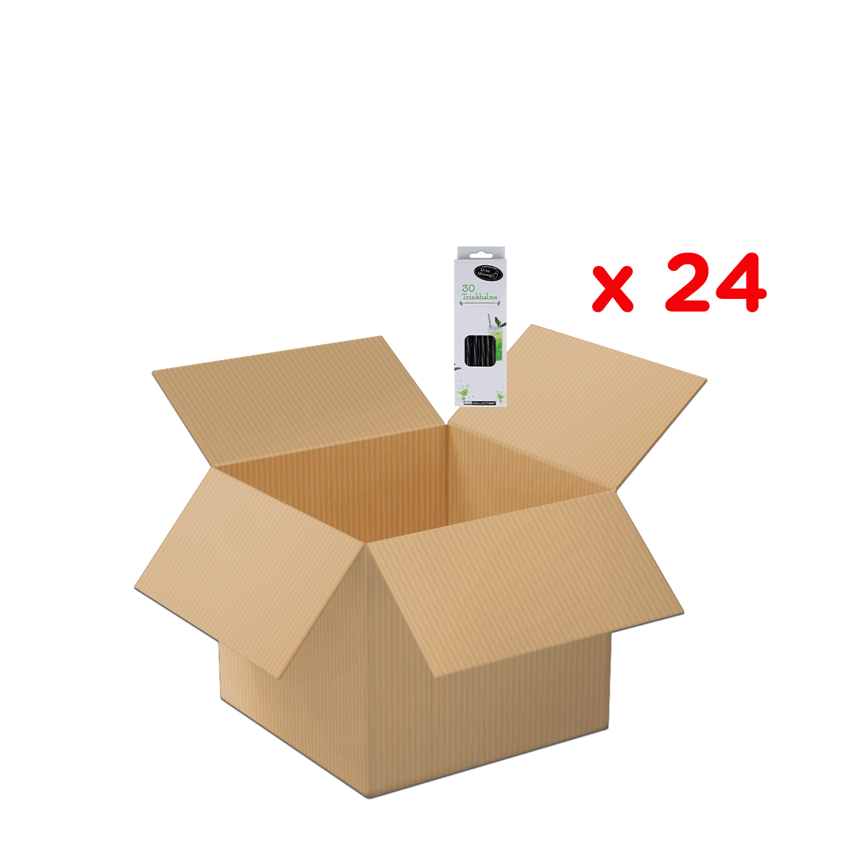 Kartonbox, offener Karton, Wellpappe, Verpackungsbox, leere Box, Kartonschachtel, Umzugskarton, Kartonbox, Faltbox, Lagerbox, Kartonbox, Schachtel, Packung, Umzugskarton, Carton