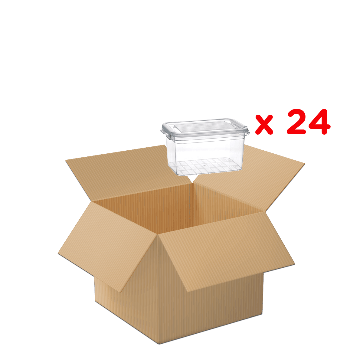 Aufbewahrungsbox, Kunststoffbox, Transparente Box, Deckelbox, Satz x24, Aufbewahrungsbox, Transparente Box, Deckelbox, Kartonbox, Set 24, Kasten, Transparenter Behälter, Aufbewahrungsbox, Aufbewahrungsbehälter, Küche