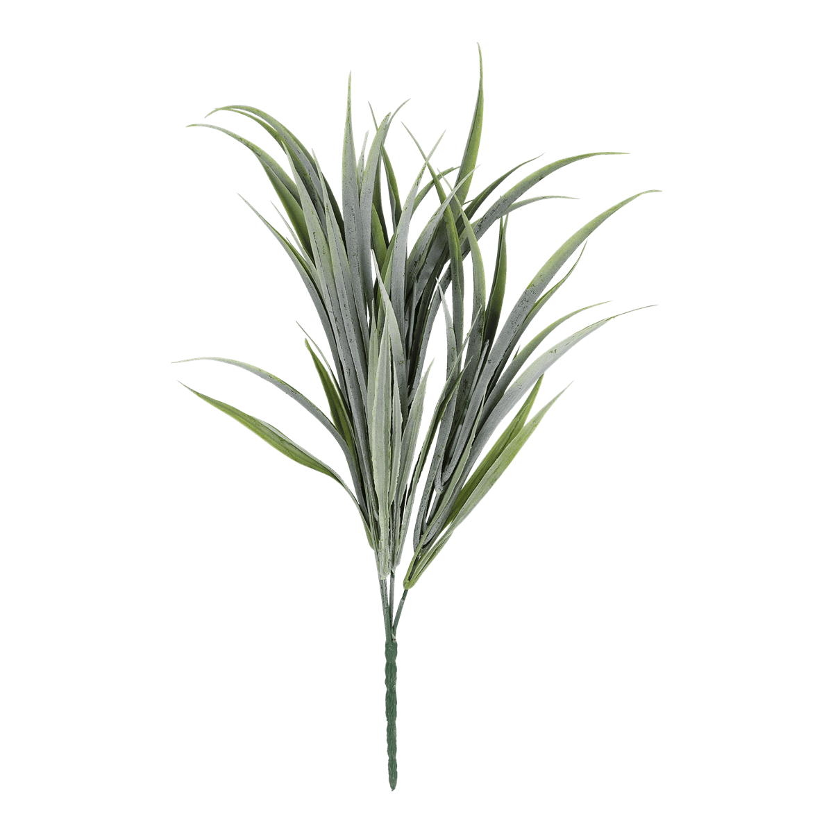 pflanze, grün, blatt, zweig, künstliche pflanze, pflanze, grün, blatt, zweig, blätter, Pflanzenzweig, Blattleiste, Grünpflanze, Blätterbündel, Trockenpflanze