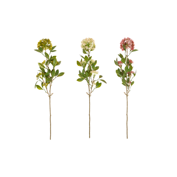 Dekozweig Skimmia