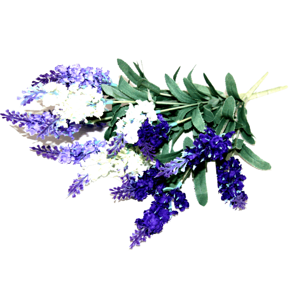 Lavendelstrauß                                                                                                                                                                                                                                                 